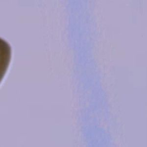 Meet your Posher, Mayte